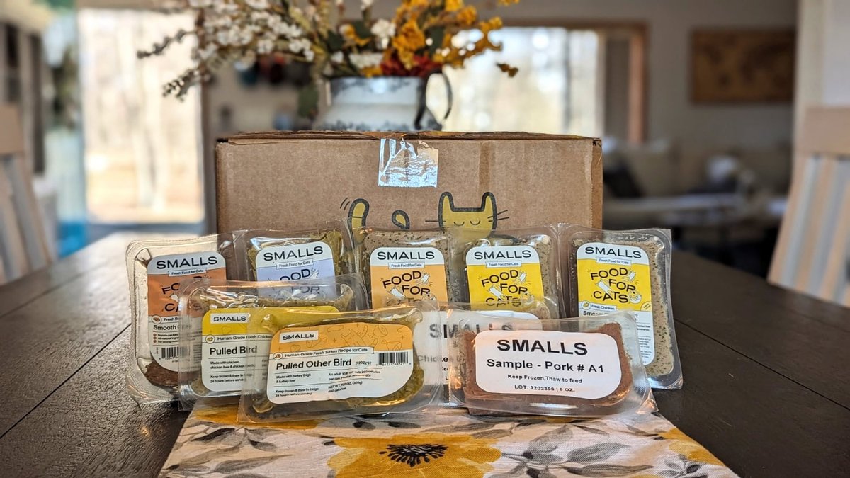 The Worth It Verdict Explores Pros, Cons, and Ideal Users